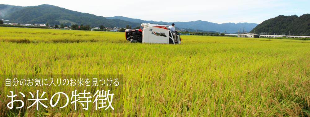 品種の特徴
