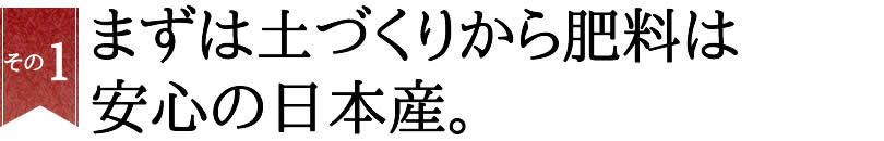 小柳農園のもち米が美味しい理由1