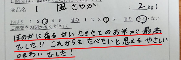 風さやかお客様の声4