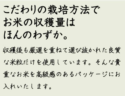こだわりの栽培方法で お米の収穫量はほんのわずか。収穫後も厳選を重ねて選び抜かれた良質な米粒だけを使用しています。そんな貴重なお米を高級感のあるパッケージにお入れいたします。