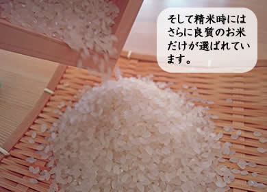 そして精米時にはさらに良質のお米だけが選ばれています。