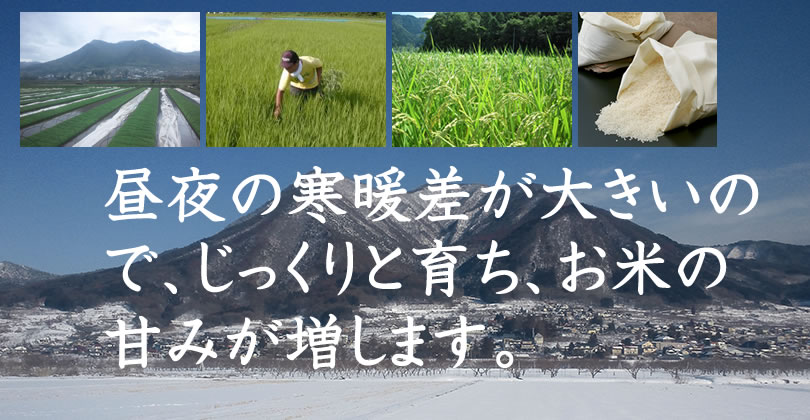 昼夜の寒暖差が大きいので、じっくりと育ち、お米の甘みが増します。