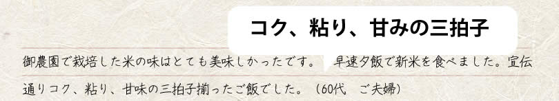 御農園で栽培した米の味はとても美味しかったです。　60代　ご夫婦 早速夕飯で新米を食べました。宣伝通りコク、粘り、甘味の三拍子揃ったご飯でした。