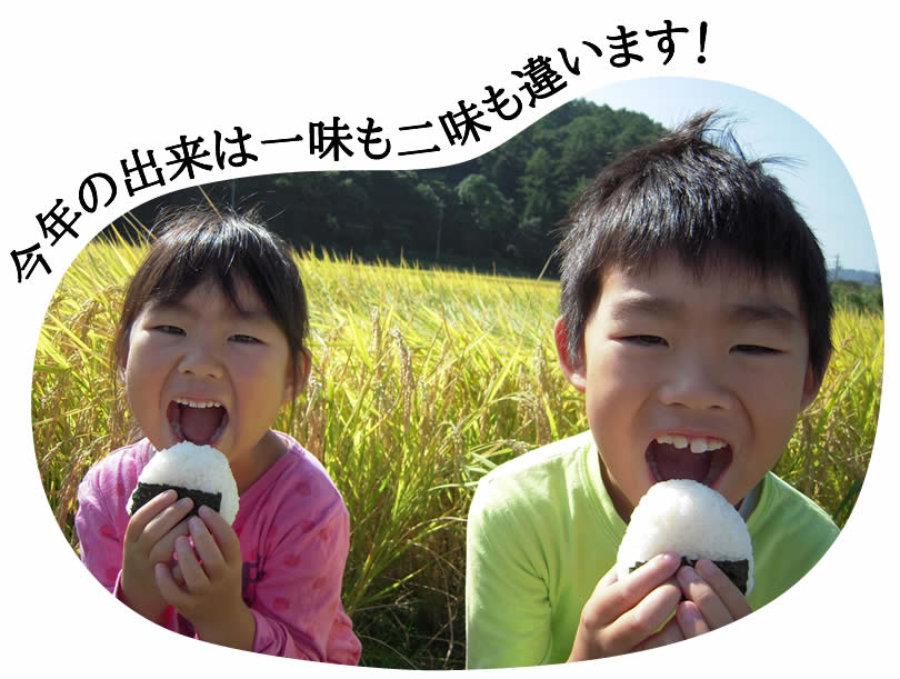 今年の出来は一味も二味も違います!
