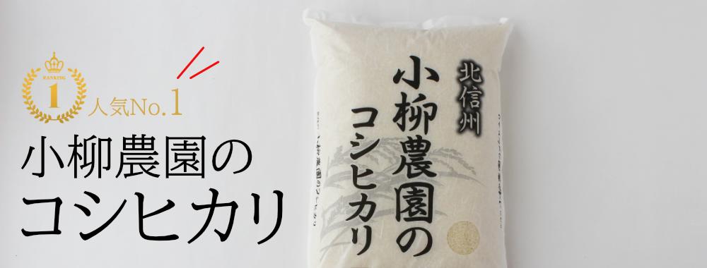 コシヒカリ