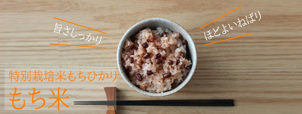 もちひかり