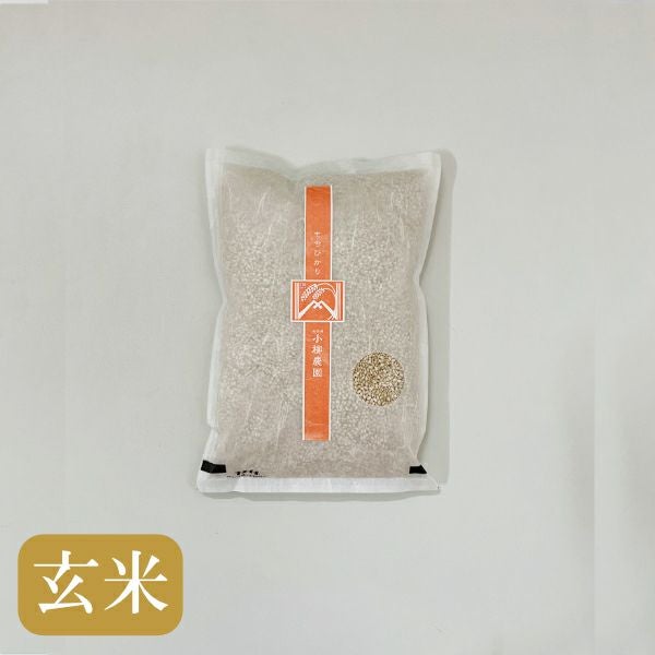 餅米　モチヒカリ　20k玄米 木徳神糧もちっと！もち玄米 2㎏